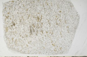 Plane Polarized, S65282