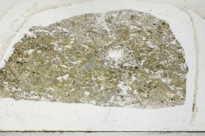 Plane Polarized, S65283