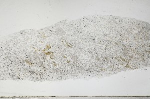 Plane Polarized, S65286