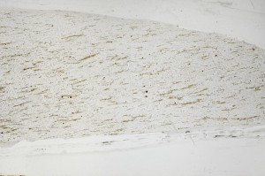 Plane Polarized, S65287