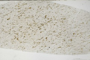 Plane Polarized, S65288