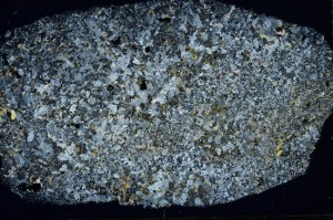 Cross Polarized, S65289