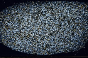 Cross Polarized, S65290