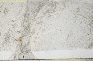 Plane Polarized, S65291