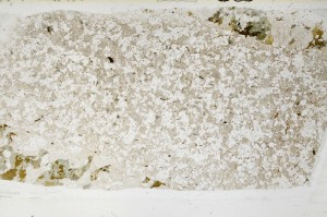 Plane Polarized, S65294