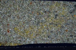 Cross Polarized, S65305