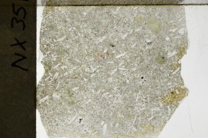 Plane Polarized, S65306