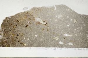 Plane Polarized, S65308