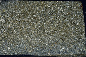 Cross Polarized, S65309