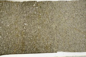 Plane Polarized, S65310