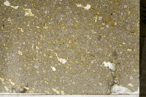 Plane Polarized, S65311