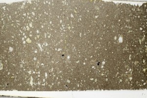 Plane Polarized, S65312