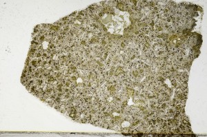 Plane Polarized, S65313