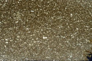 Cross Polarized, S65315