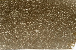 Plane Polarized, S65315