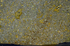 Cross Polarized, S65316