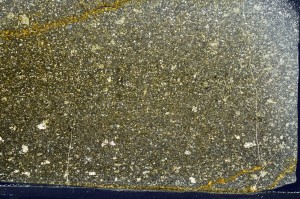 Cross Polarized, S65317