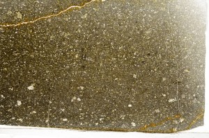 Plane Polarized, S65317