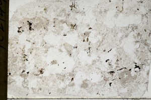 Plane Polarized, S65321