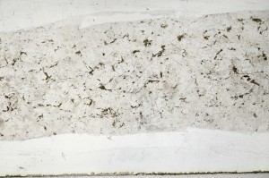 Plane Polarized, S65323