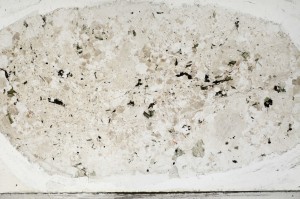 Plane Polarized, S65327
