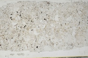 Plane Polarized, S65328
