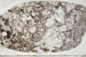 Plane Polarized, S65331