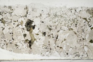 Plane Polarized, S65334