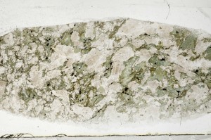 Plane Polarized, S65335