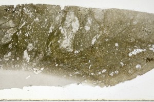 Plane Polarized, S65341