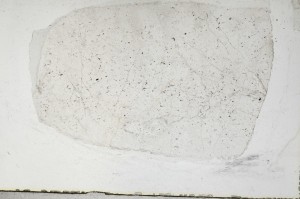 Plane Polarized, S65342