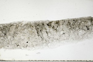 Plane Polarized, S65345
