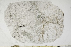 Plane Polarized, S65351