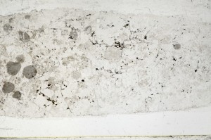 Plane Polarized, S65353