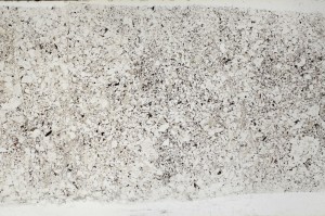 Plane Polarized, S65355