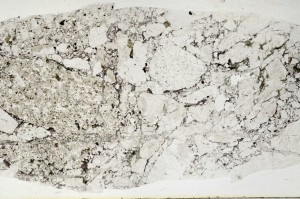 Plane Polarized, S65356