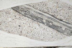 Plane Polarized, S65361