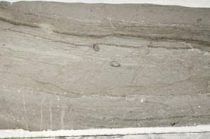 Plane Polarized, S65364