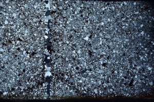 Cross Polarized, S65423
