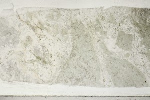 Plane Polarized, S65424