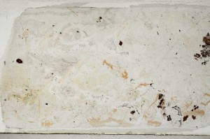 Plane Polarized, S65452