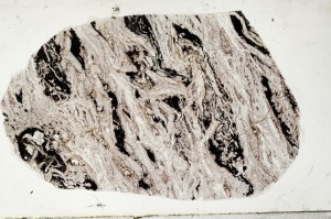 Plane Polarized, S65457/A