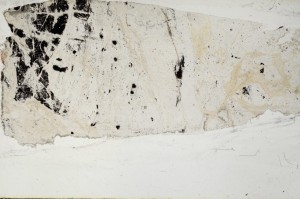 Plane Polarized, S65458