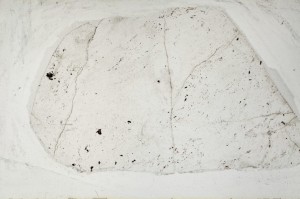 Plane Polarized, S65460