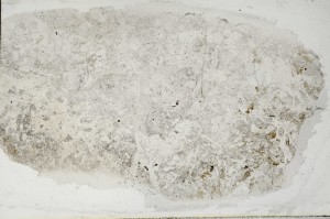 Plane Polarized, S65465