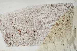 Plane Polarized, S65469