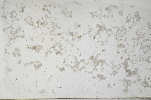 Plane Polarized, S65474