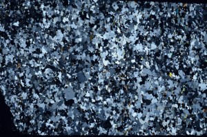 Cross Polarized, S65475