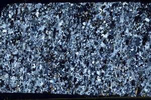 Cross Polarized, S65497