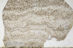 Plane Polarized, S65511